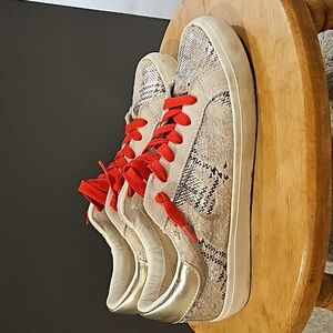 Gently used Steve Madden sneakers